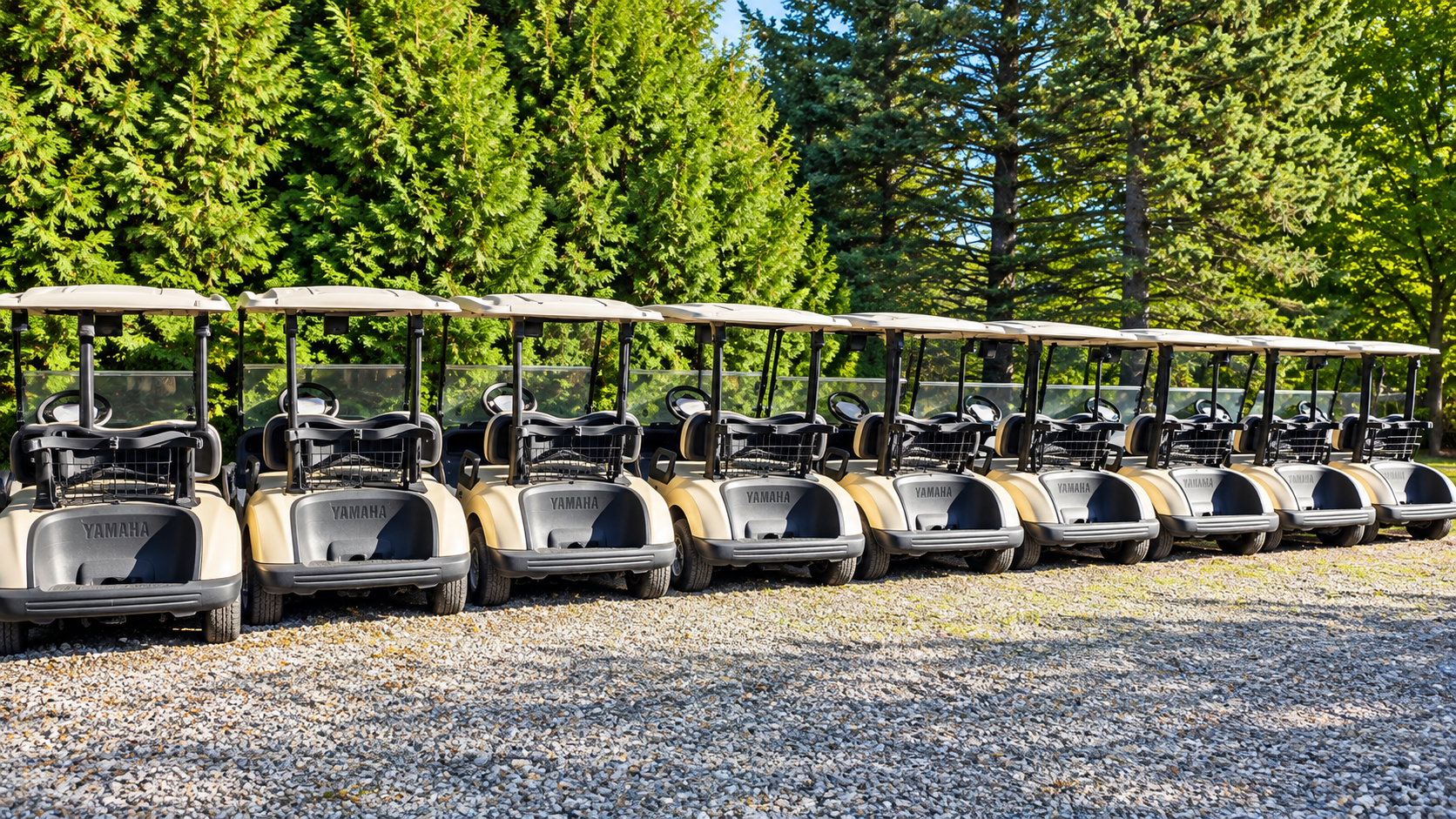 Fleet of golf carts lined up outdoors for service